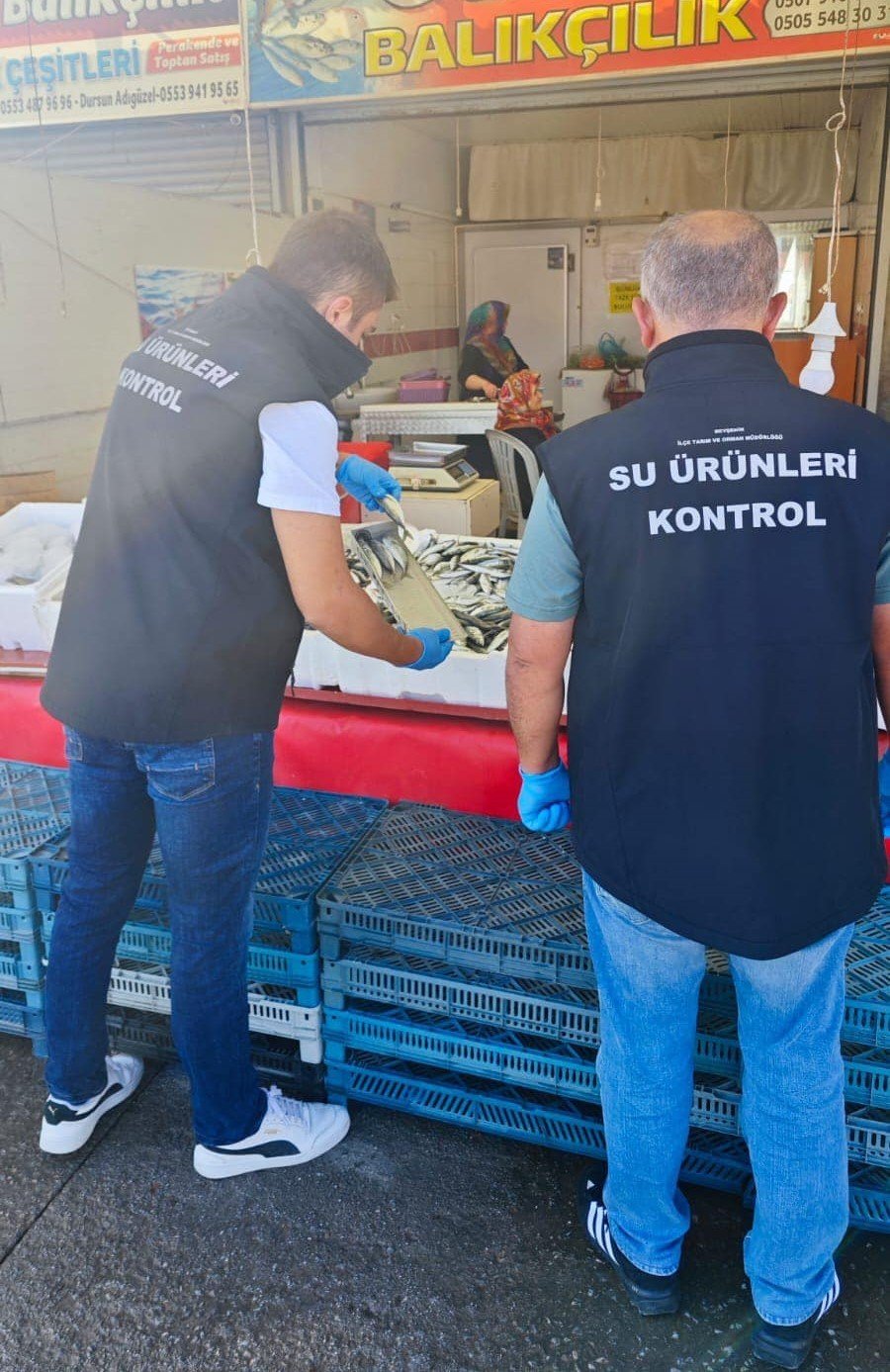 Konya’da balıkların perakende satış noktaları denetlendi