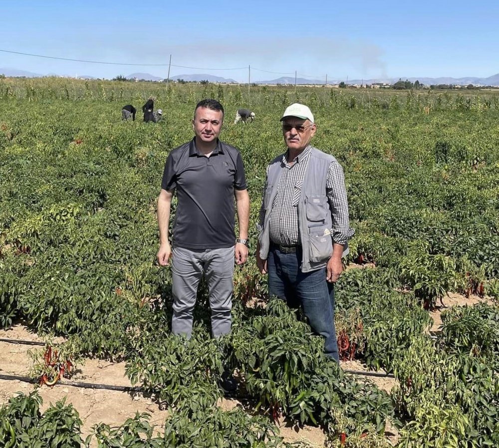 Konya Beyşehir’de çiftçiler ürün zararlılarına karşı bilgilendiriliyor