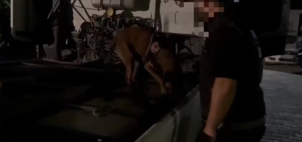 TIR'ın akaryakıt deposunda 58 kilo uyuşturucu ele geçirildi