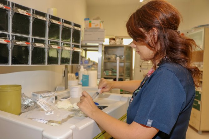 Konservelerdeki ölümcül tehlike! Hayatını kaybetti