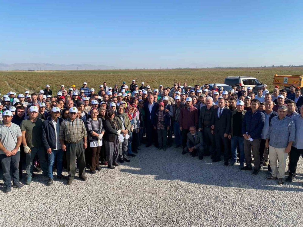 Konya'nın ilçesinde ücretsiz salçalık biber dağıtılıyor