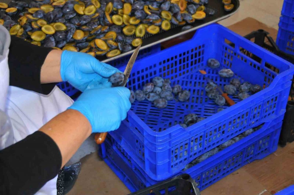 Konya'da kadınlar işe el attı, tesiste ürün çeşitliliği arttı