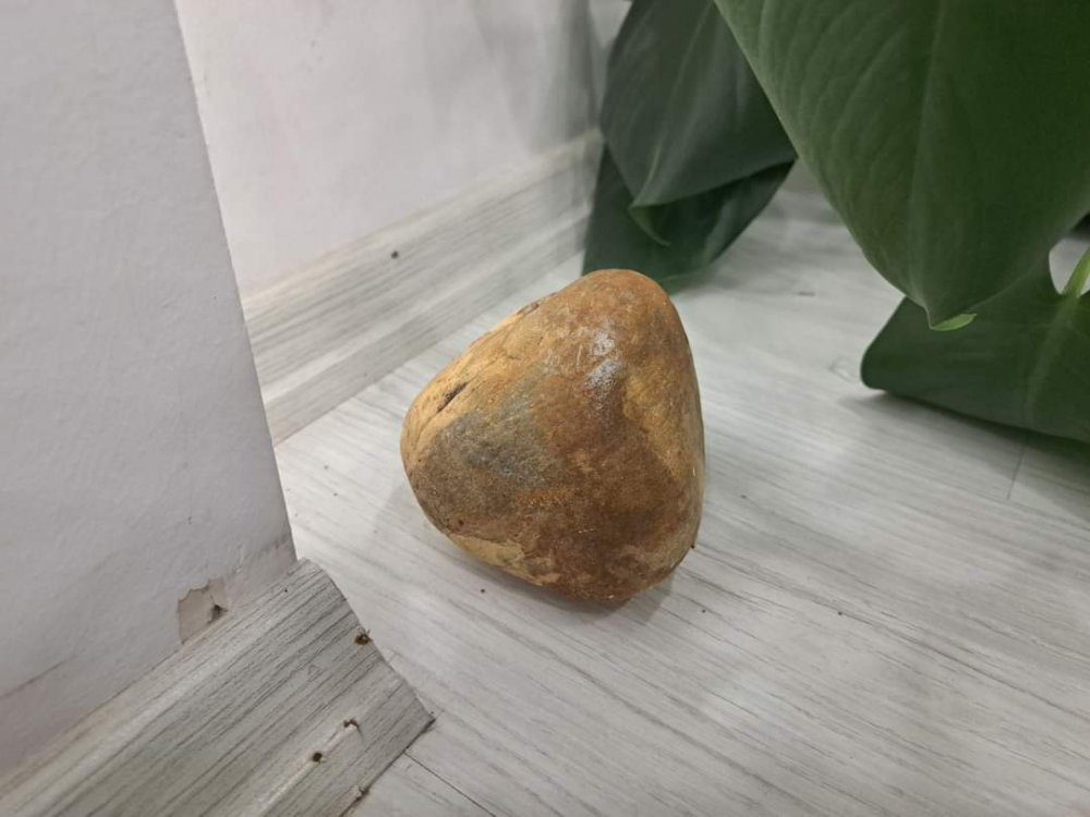 AK Parti İl Başkanlığı'na taşlı saldırı...