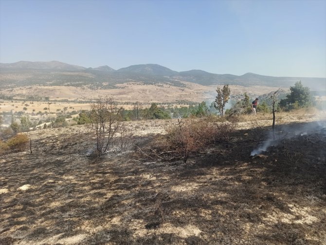 Konya'da anız yangını ormana sıçradı