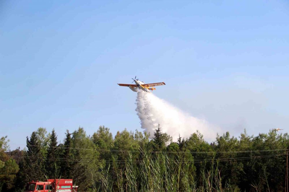 Tekneler alev alev yandı, ormana da sıçradı!