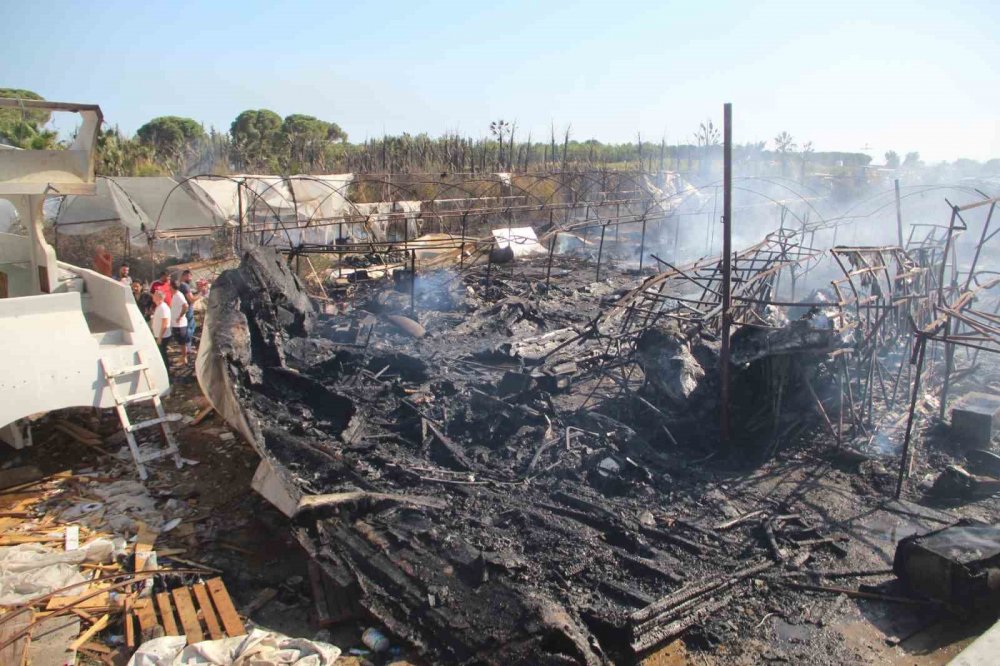 Tekneler alev alev yandı, ormana da sıçradı!