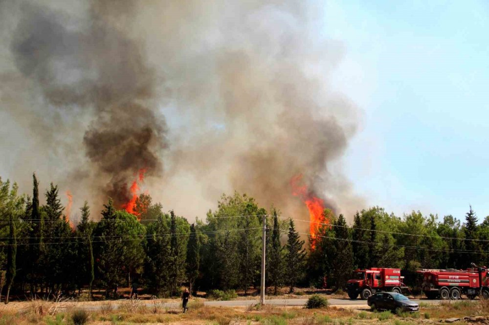 Tekneler alev alev yandı, ormana da sıçradı!