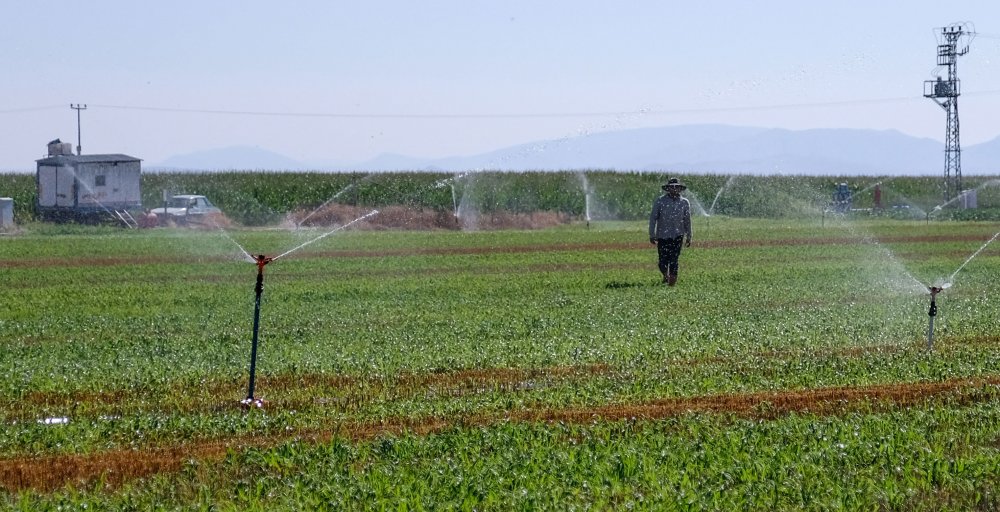 Türkiye'nin tahıl ambarı Konya Ovası'nda şok kaçak su kuyusu gerçeği
