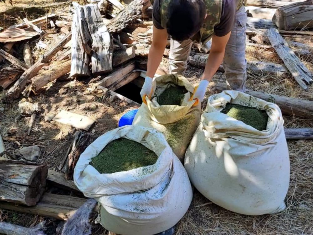 Bakan Yerlikaya: 7 ilde 72 zehir taciri yakalandı