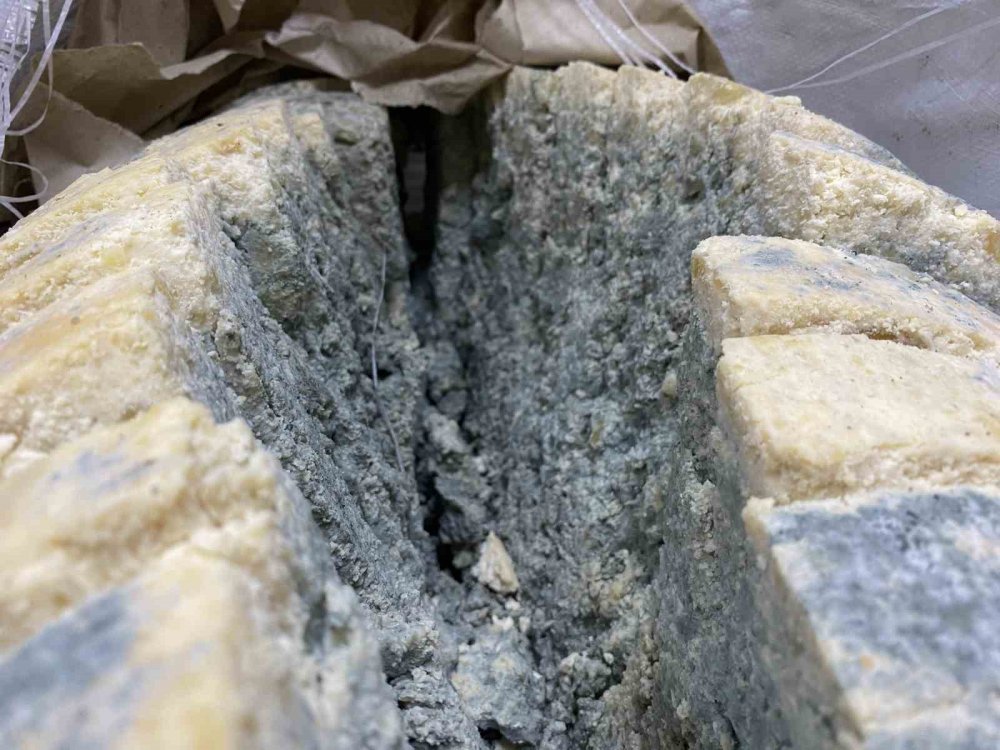 Konya'nın meşhur küflü peyniri bakın neye iyi geliyormuş!