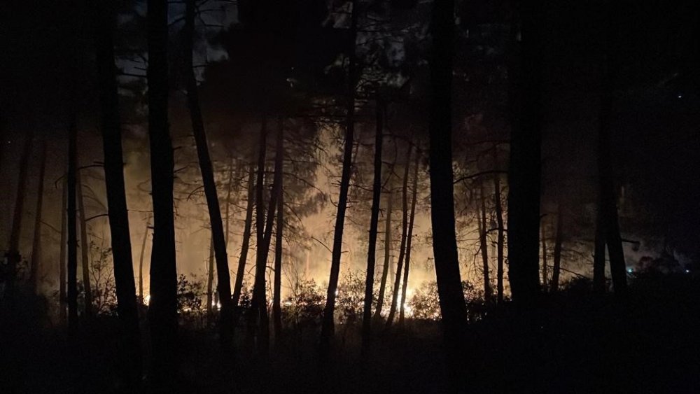 Ormanlık alanda çıkan yangın söndürüldü