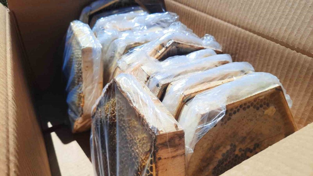 Konya'da 2 bin 500 metre rakımda bal hasadı