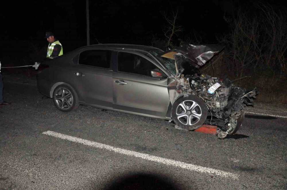 Otomobil domuz sürüsüne çarptı, 1'i ağır 2 kişi yaralandı