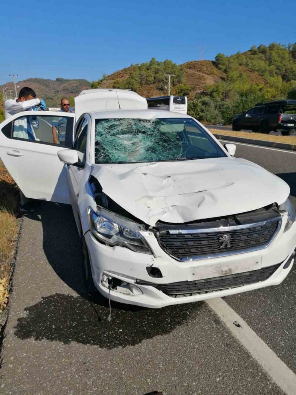 Hastaneye giderken otomobilin çarptığı kadın hayatını kaybetti