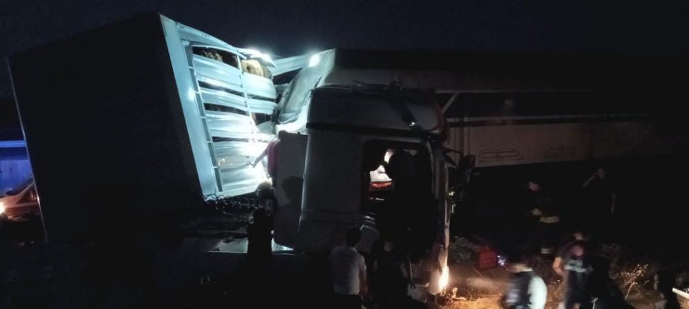 Yük treni, TIR’a çarptı; 50 koyun öldü