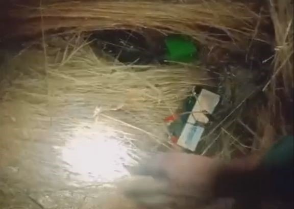 Konya’da yasağı delen avcılara 12 bin 500 lira ceza