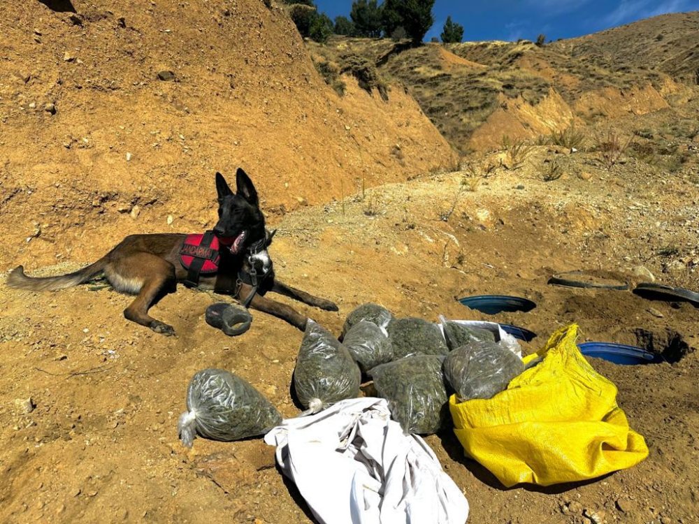 Terör örgütünün finans kaynağına Diyarbakır'da darbe