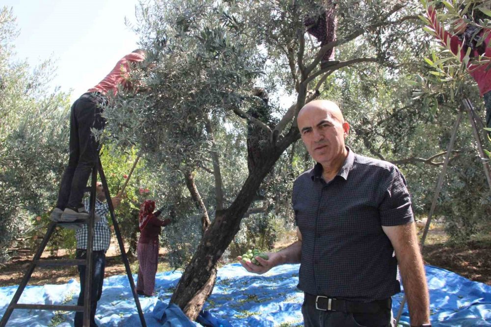 Herkes egede sanıyordu ama Türkiye'nin en kalitelisi Karaman'da üretiliyor!