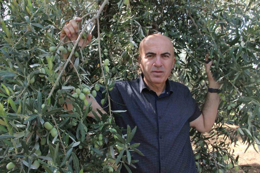 Herkes egede sanıyordu ama Türkiye'nin en kalitelisi Karaman'da üretiliyor!