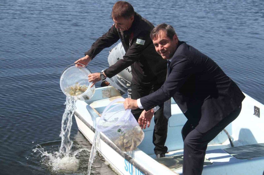 Konya’nın göl ve göletlerine salındı! Tam 2 milyon adet