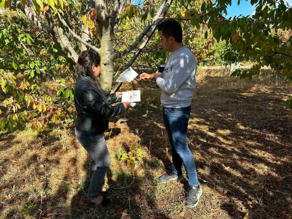 Burası Türkiye'nin önemli organik üretim merkezinden biri... Konya'da görevliler iş başında