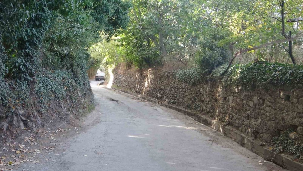 Muğla'da yer alıyor, özelliğini duyanlar şaşırıyor!