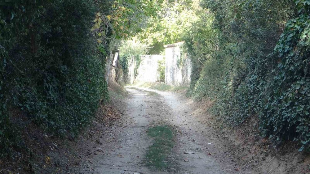 Muğla'da yer alıyor, özelliğini duyanlar şaşırıyor!