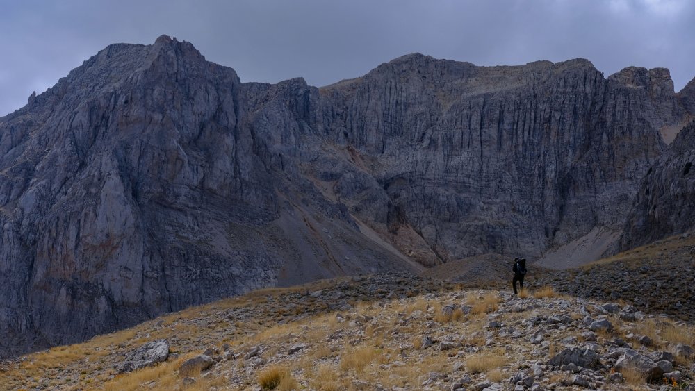 Konya'da doğa gezgini tarafından bulundu! Tam 2,5 milyon yıl öncesine ait