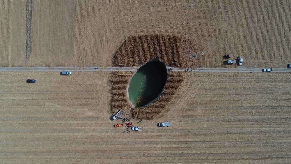 Konya'da büyük tehlike ortaya çıktı! Korkudan yaklaşamıyorlar
