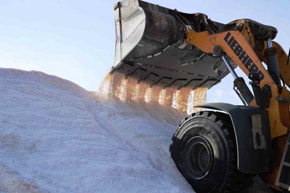 Konya'nın beyaz altın hasadı başladı