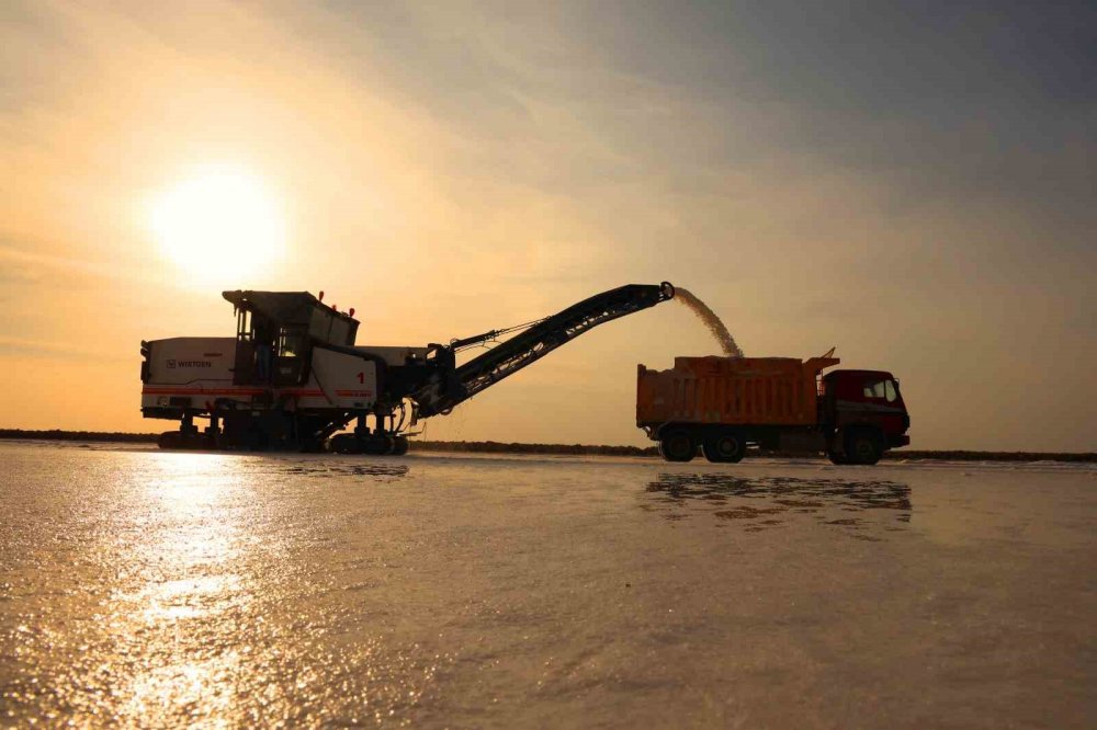 Konya'nın beyaz altın hasadı başladı