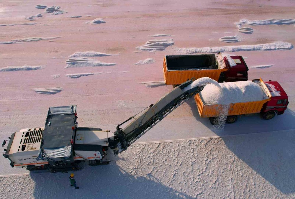 Konya'nın beyaz altın hasadı başladı