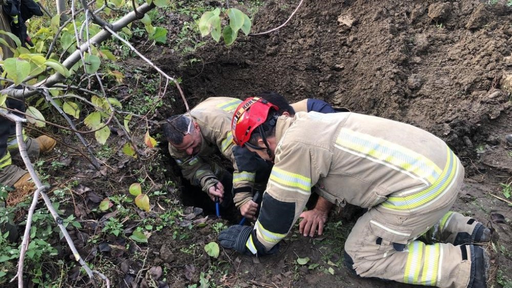 Su kuyusunda 4 gün mahsur kalan kuzuyu itfaiye ekipleri kurtardı
