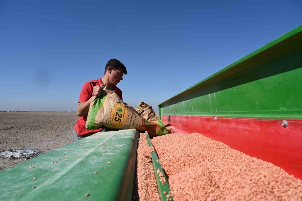 Konya'nın merkez mahallesinde tarıma büyük yatırım