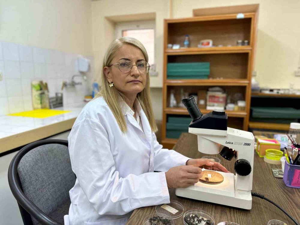 Sır ölümleri onlar aydınlatıyor