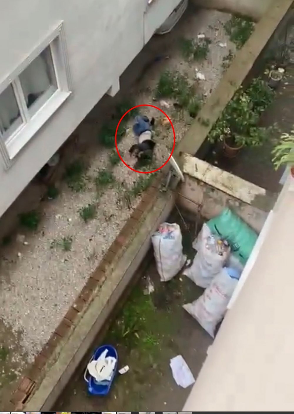 Bursa'da sevgilisini 2'nci kattan itip başında bıçakla bekledi! Açıklaması şok etti