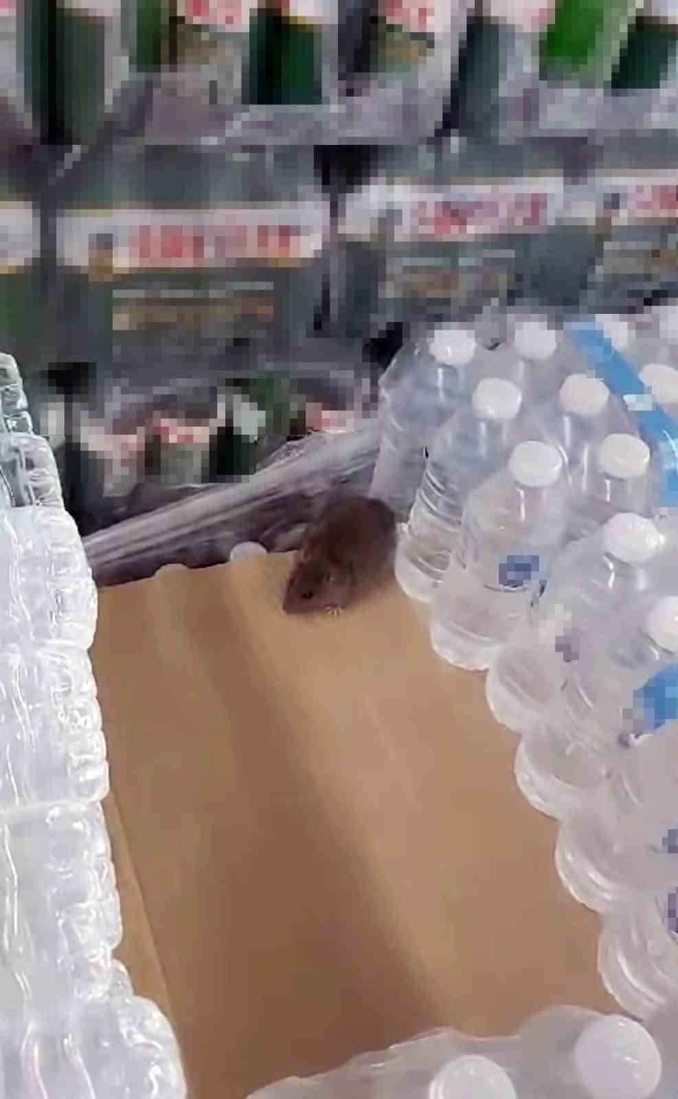 Karaman Bim'de mide bulandıran görüntü!