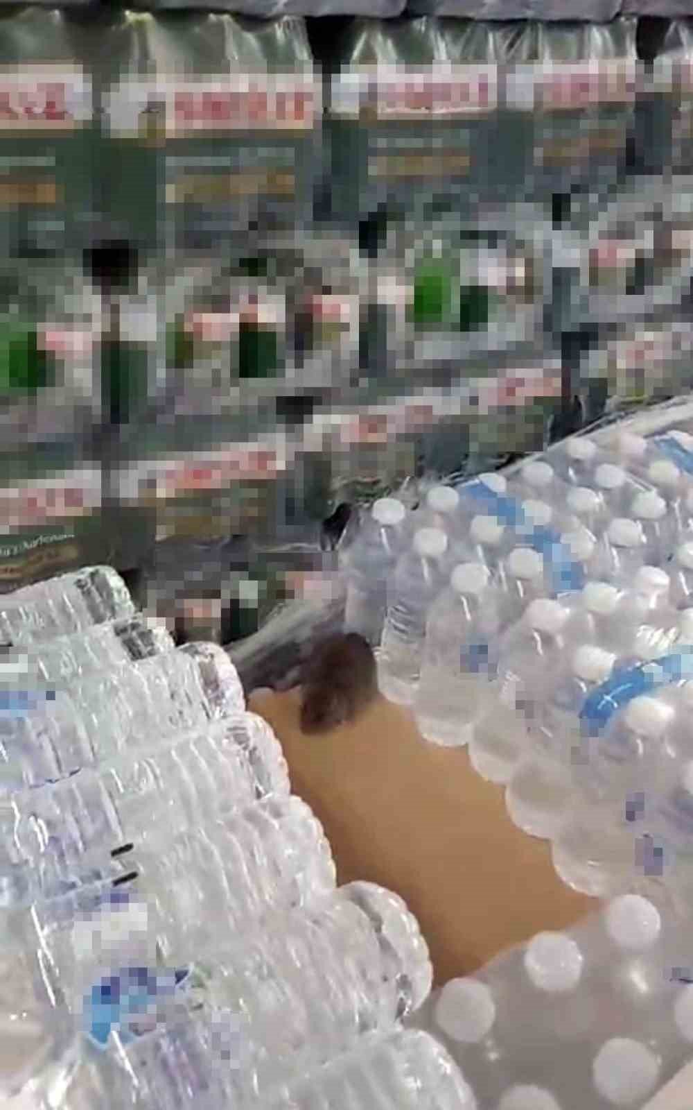 Karaman Bim'de mide bulandıran görüntü!