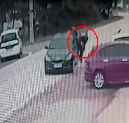 Kocaeli'de doktor evden çıkmayan kiracısına baltayla saldırdı