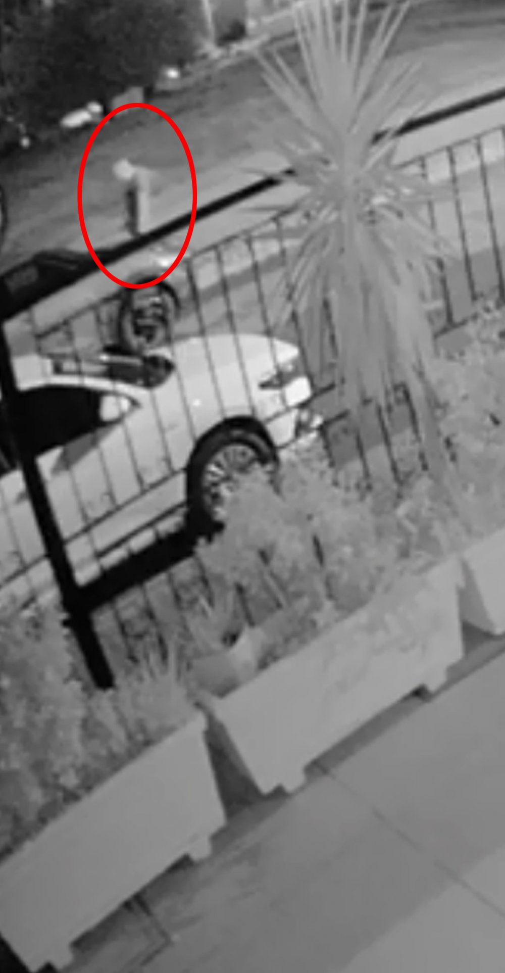 Antalya'da 16 günlük otomobili boydan boya çizdi!