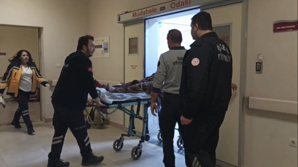 Tartıştığı halasını tabanca ile vurdu