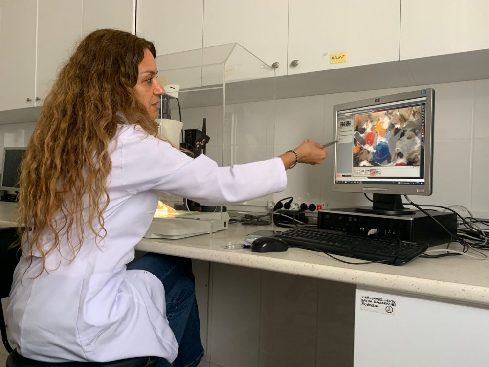 Türk bilim insanlarının Antarktika bilim yolculuğu başlıyor