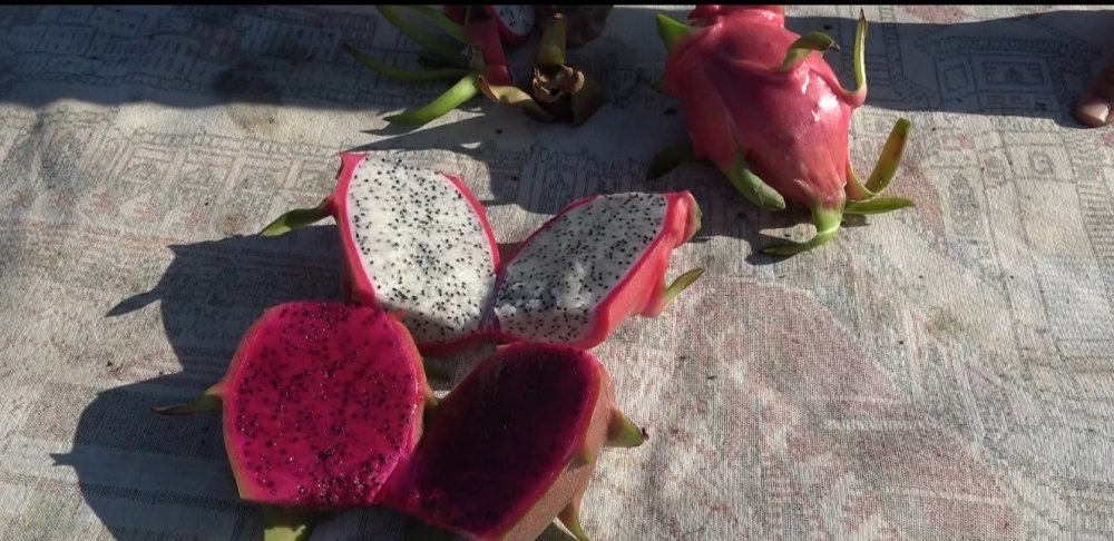 İnternette gördü üretici oldu, taleplere yetişemiyor