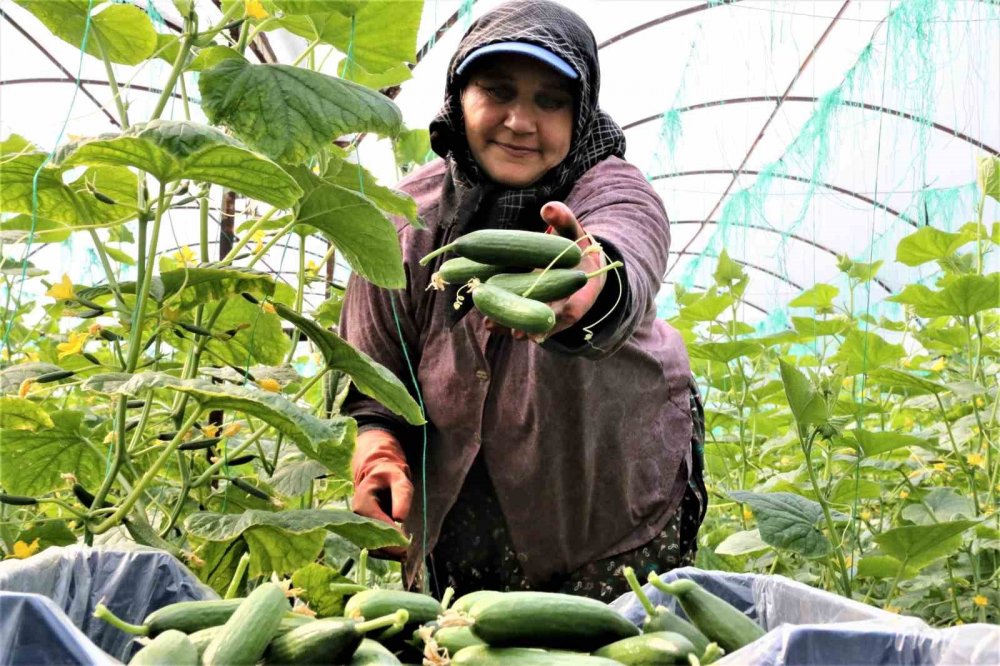 Konya'nın komşusunda günlük 666 TL’ye çalışacak eleman bulunamıyor!