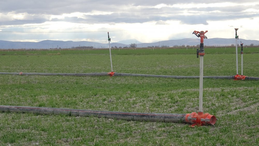 Konya Ovası'nda çiftçinin gözü kar yağışında