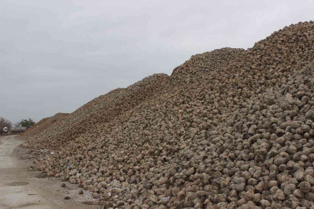 Konya'nın ilçesinde 2 milyon 100 bin ton ürün hasadı