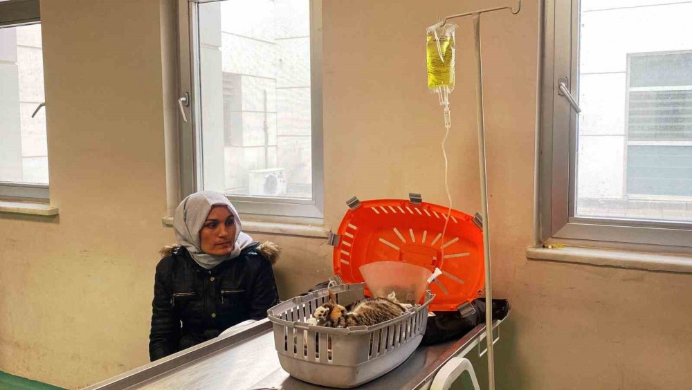 Türkiye’nin en büyük hayvan hastanesi Konya'da