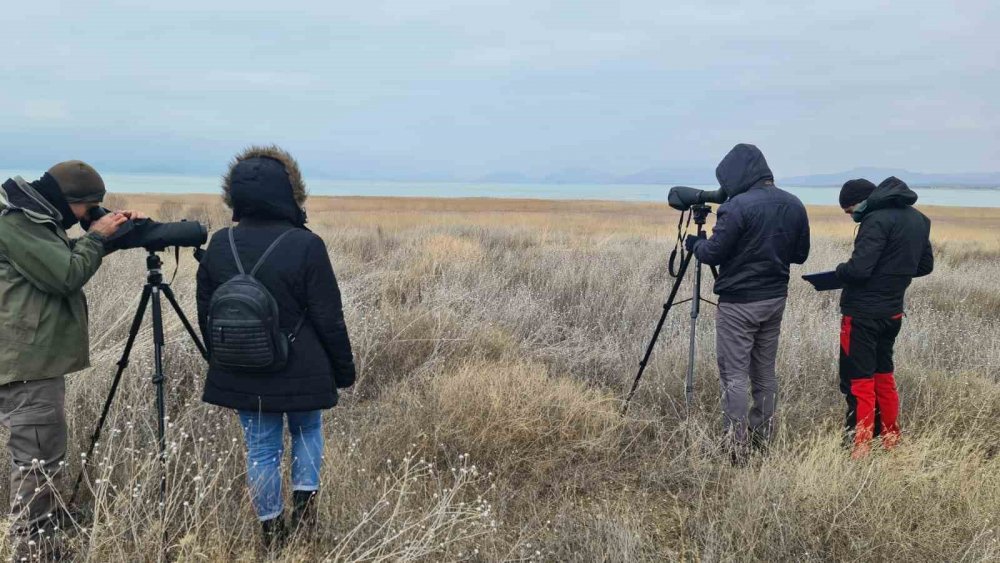 Konya’nın su kuşu varlığına sahip göllerinde sayım çalışmaları tamamlandı