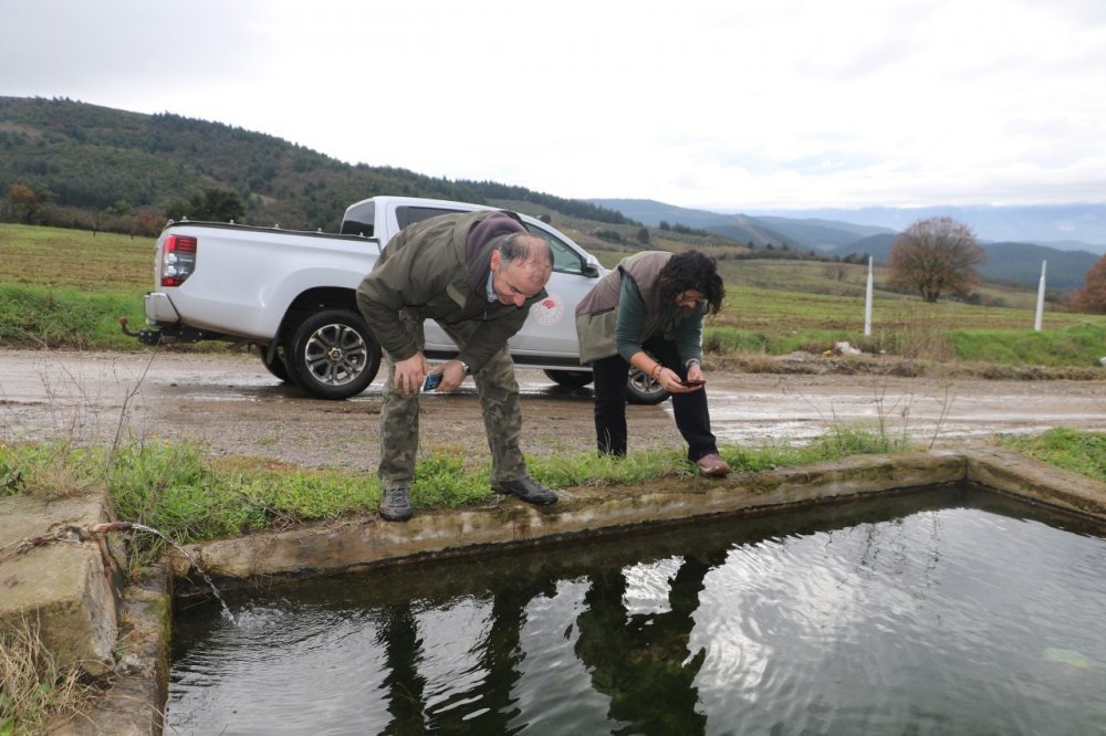Nesli tehlike altındaydı...Gölette bulundu