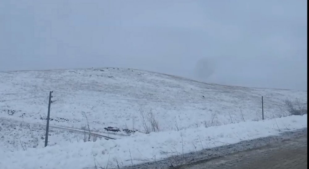 Köye kurt sürüsü indi